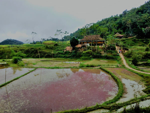 village ethnique pu luong