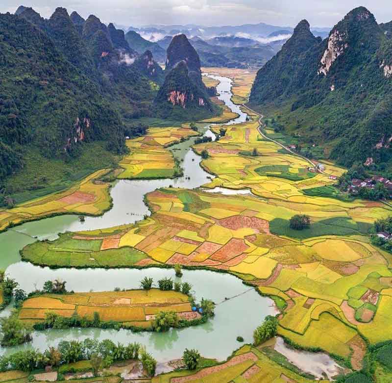 rizière à cao bang vietnam