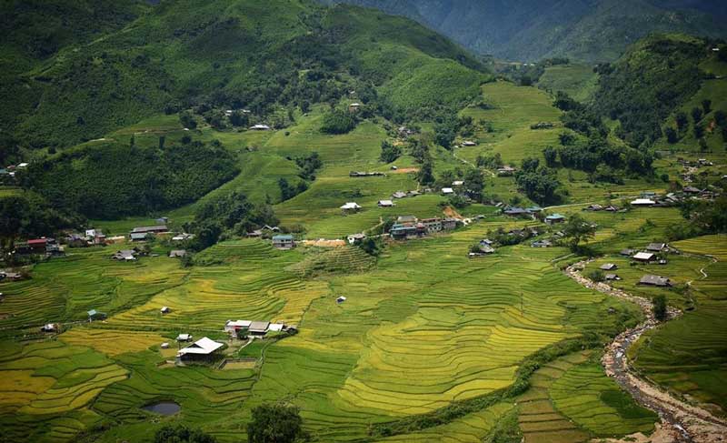riziere en terrasses de sapa vietnam