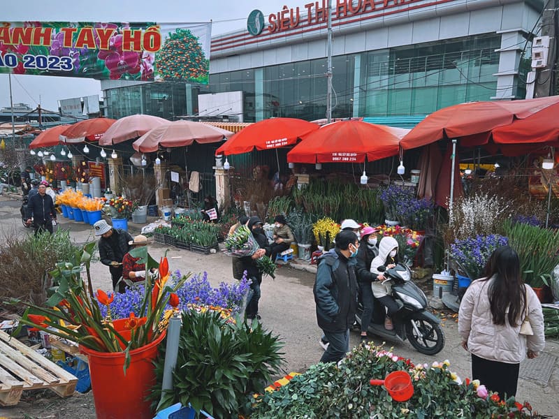 Marché de fleurs Quang Ba