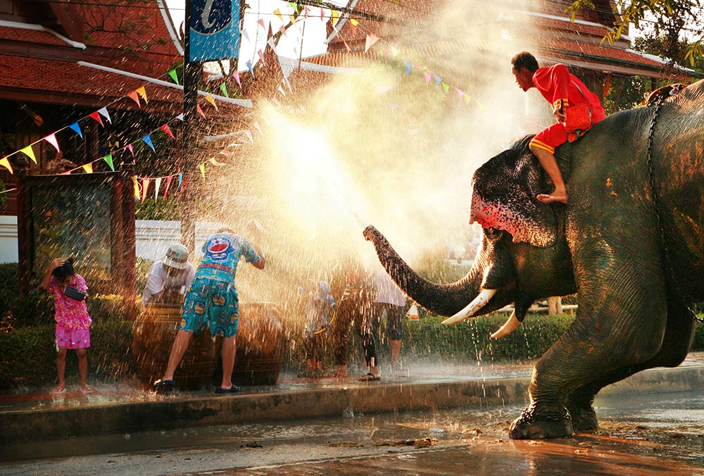 Les éléphants s''amusent à la fête de l''eau avec les hommes