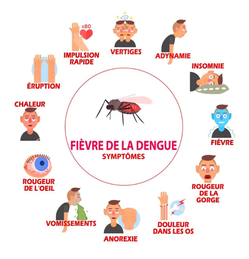 Symptômes fièvre dengue