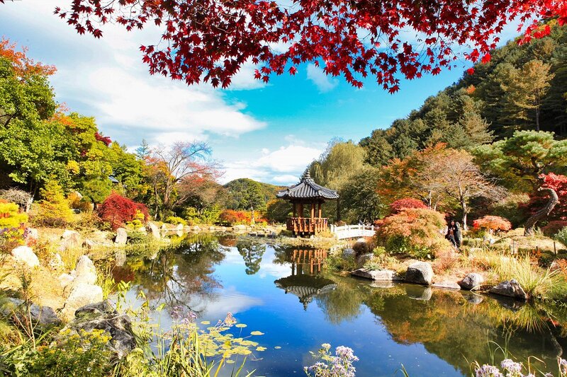 Jardin du Calme Matinal, Corée du Sud