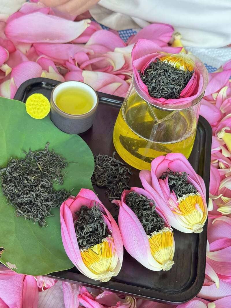 Le thé au lotus