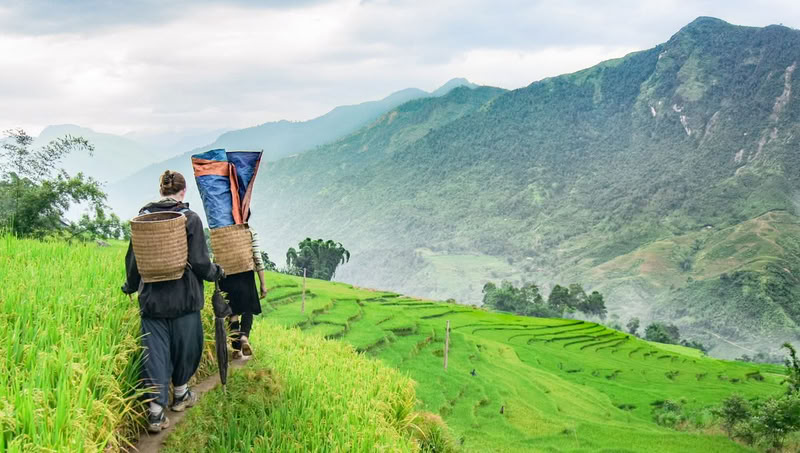 Sapa au-dessus de 1500 mètres
