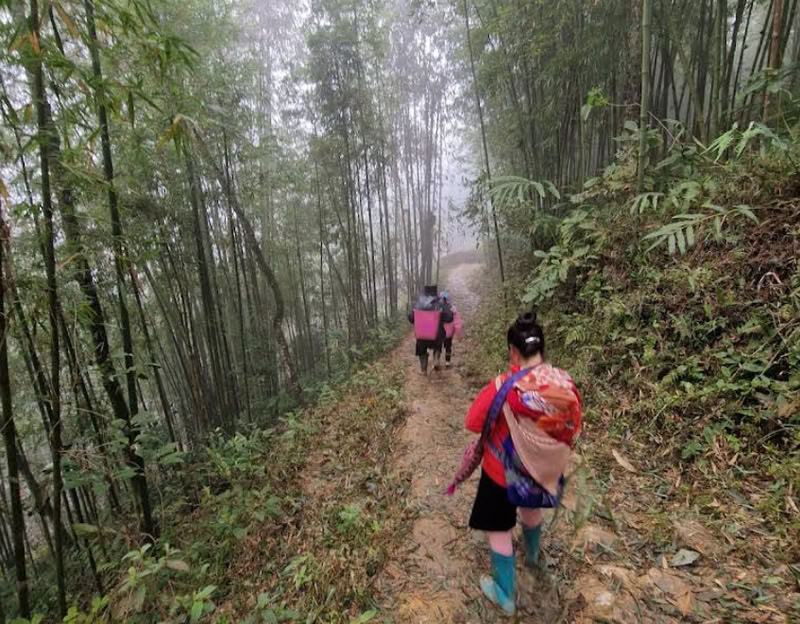 Le guide, issu d'une minorité ethnique, nous a conduits à travers la forêt de bambous.