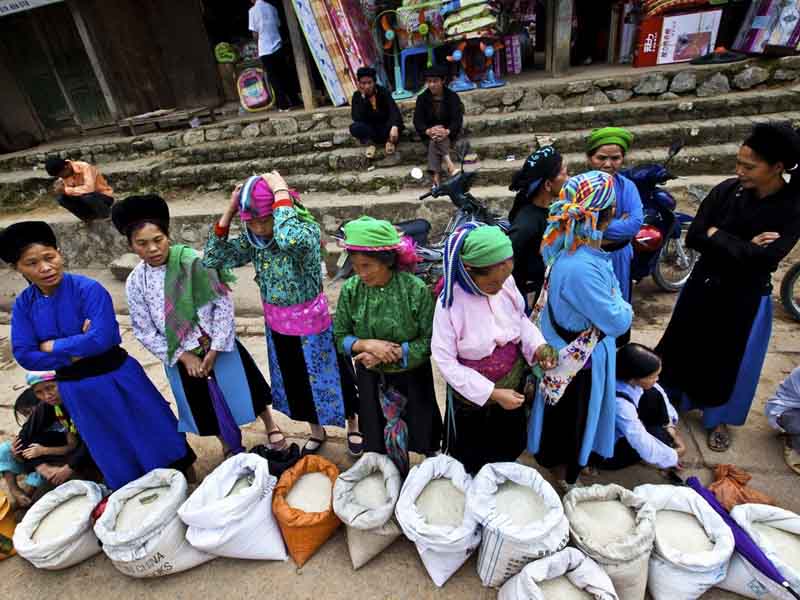 Un marché hebdomadaire Ha Giang