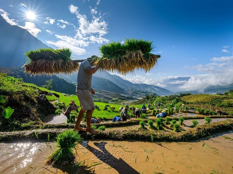 paysage Nord du Vietnam