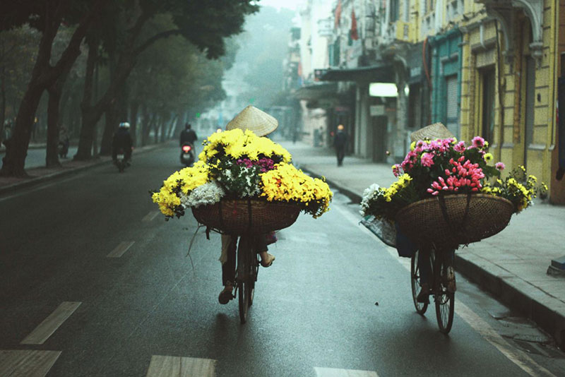 les vendeuses de fleurs à hanoi