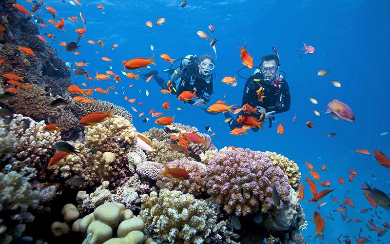 plongee sous marine Phu Quoc