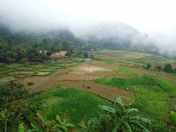 village a pu luong