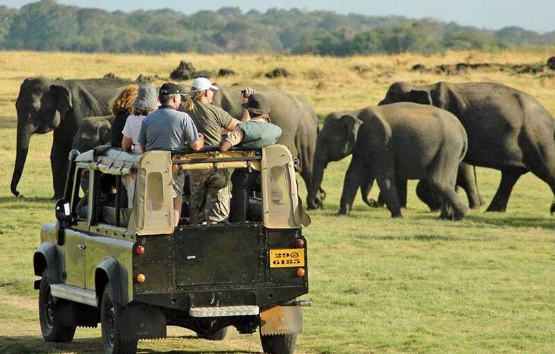 Parc national de Yala