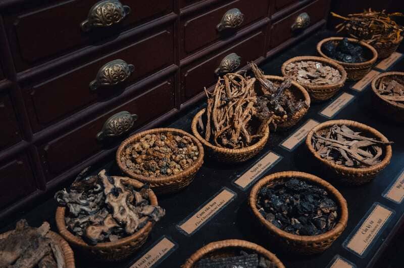 Les plantes médicinales