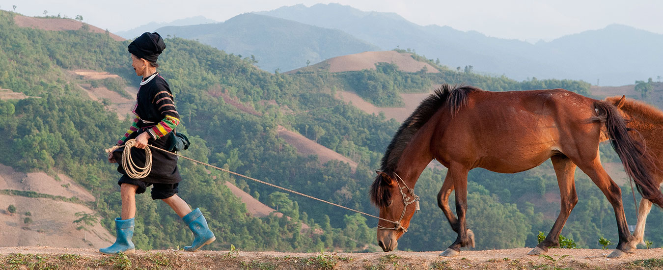 Les Lolo noirs et leur trésor culturel bien caché dans les montagnes du Nord du Vietnam