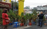 Marché aux fleurs de Tet à Hang Luoc et ses alentours – Ambiance festive au cœur des vieux quartiers à Hanoi
