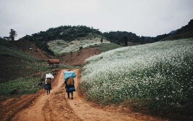 Vietnam en Décembre: météo & meilleurs sites à visiter 