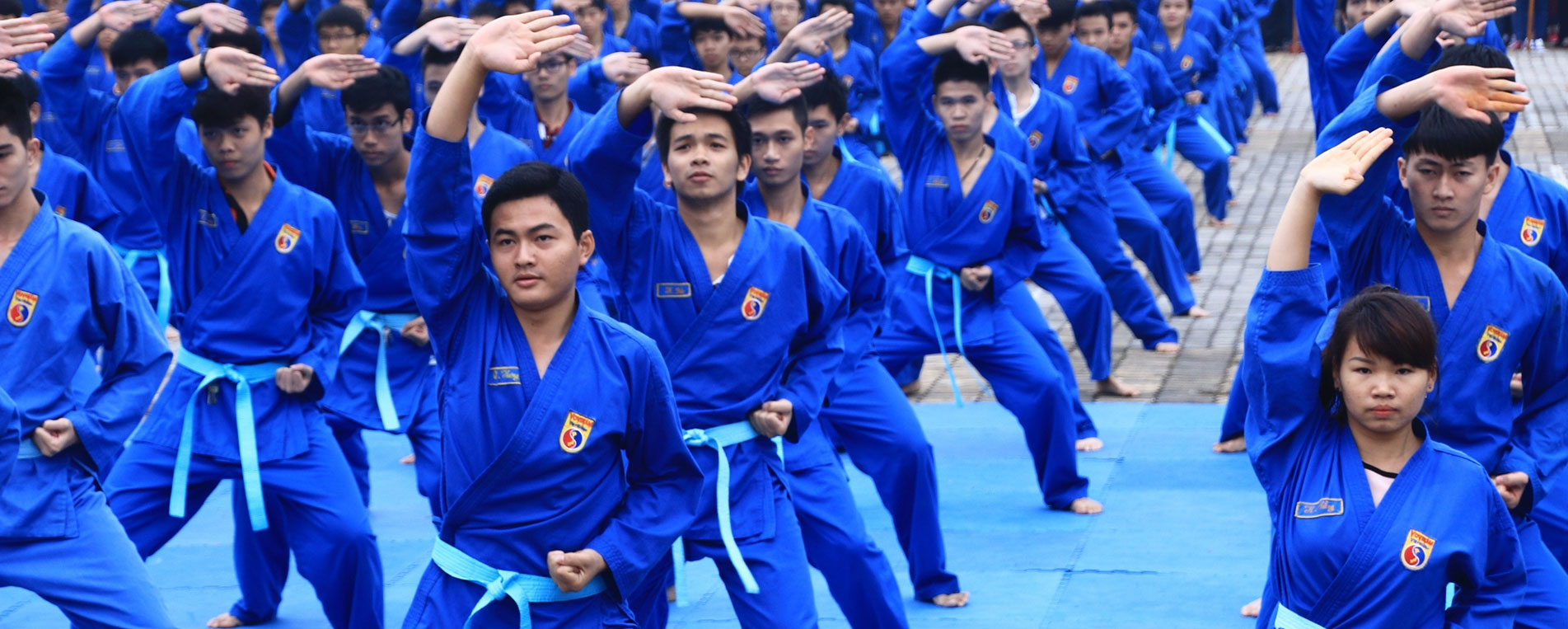 Vovinam : Lart martial du Vietnam à travers le Viet Vo Dao