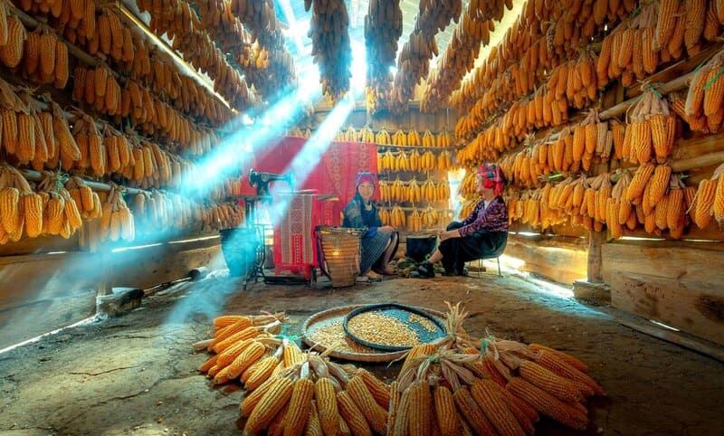 Ethnie Vietnam : rencontres avec les tribus vietnamiennes