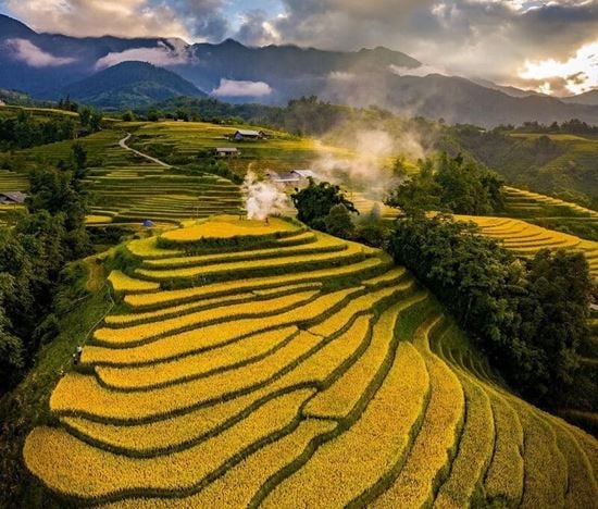 Baie dHalong terrestre