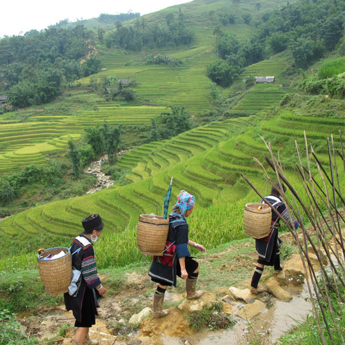 Sapa et Bac Ha