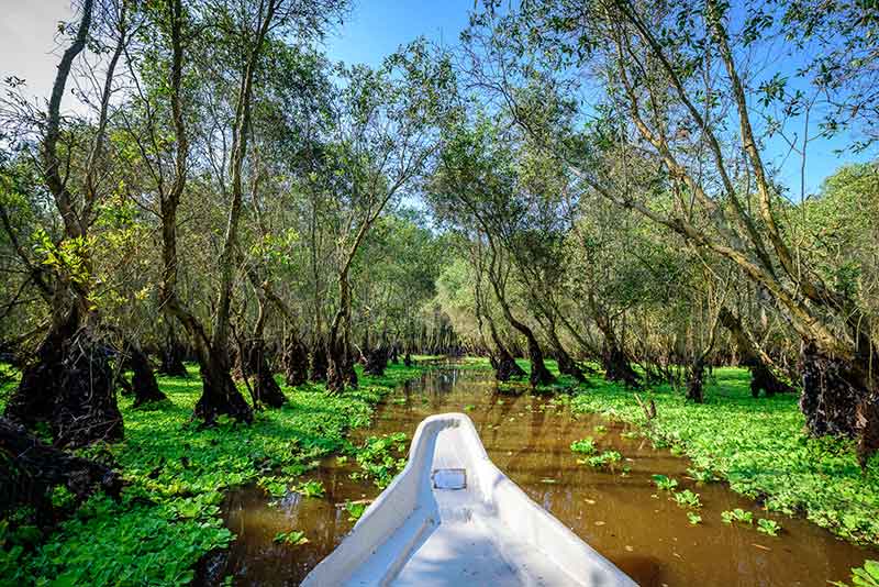 Excursion en barque dans la forêt des cajeputiers de Tra Su
