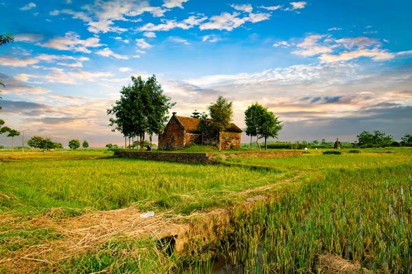 L’ancien village Duong Lam et ses rizières aux alentours