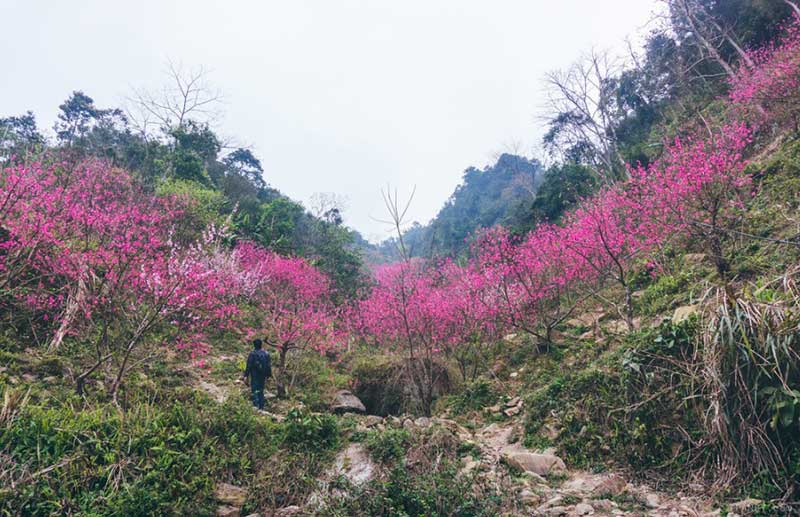 La montagne de Mau Son