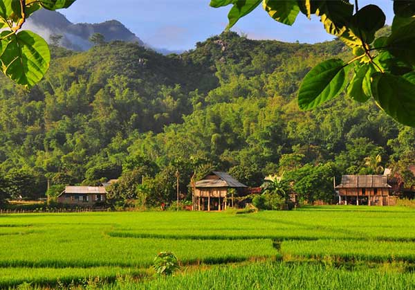 Séjourner chez l’habitant à Mai Chau