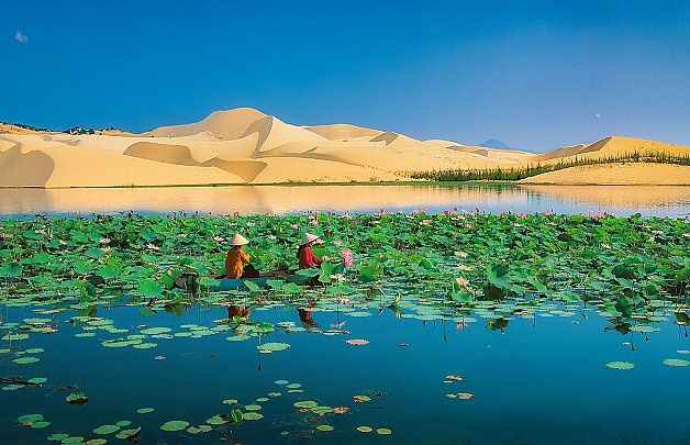 Se promener sur les dunes de sable blanc et au lac lotus