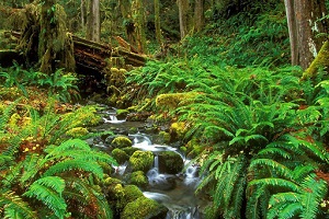Le parc national de Ba Be