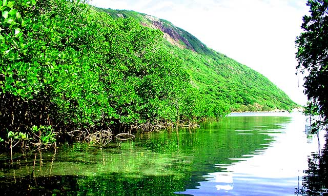 Parc national de Con Dao