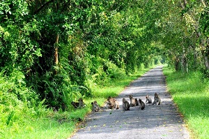 Le parc national de Phu Quoc