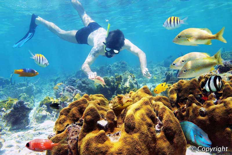 Plongée, snorkeling, excursions en mer à Con Dao