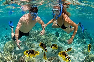 Plongée sous-marine et snorkeling