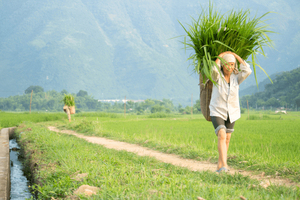 Rencontre des ethnies minoritaires du Vietnam