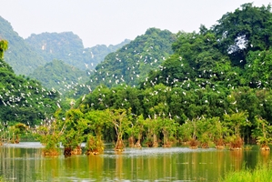 Le parc écologique Thung Nham