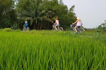 Campagne paisible des cyclistes à Hoi An