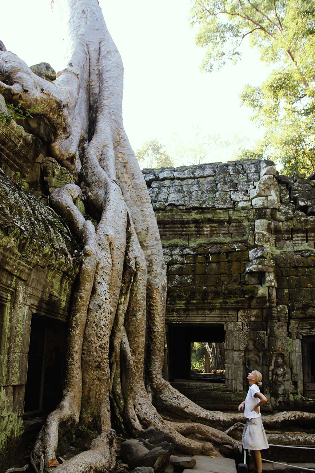 Quand partir au Cambodge