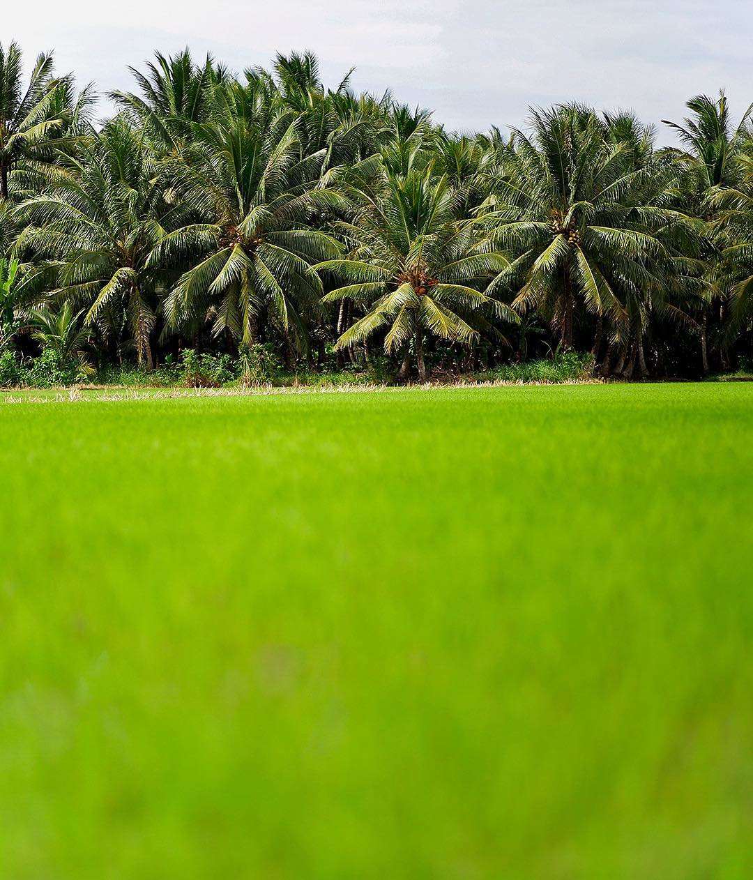 delta du mekong que faire en 3 jours