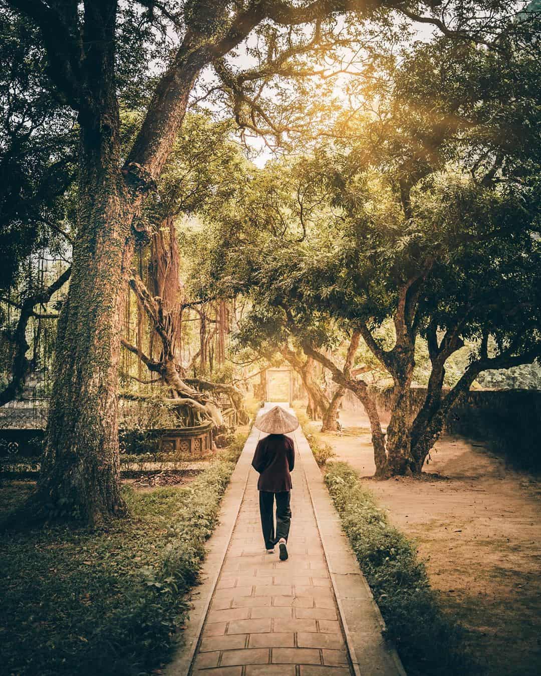 Hoa Lu ninh binh