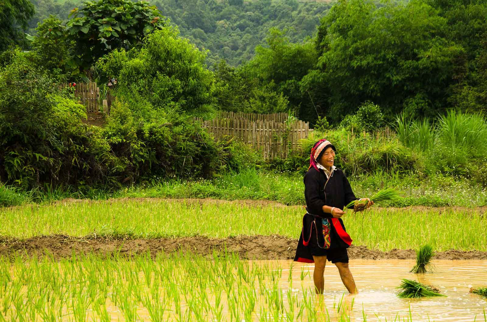 Voyage au Vietnam en 2022