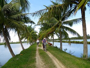 Balade à vélo dans les campagnes paisibles à Hoi An