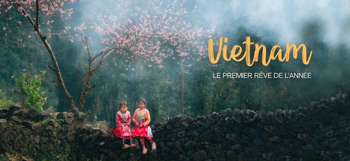 Bienvenue au Vietnam, une destination de rêve en 2024