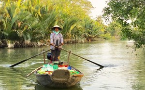 Promenade en barque au milieu de la nature sur Halong