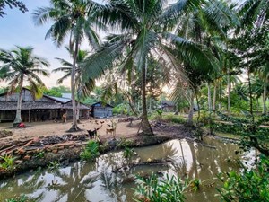 La vie paisible au delta du Mékong