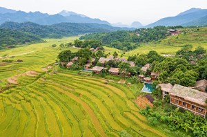 rizières en terrasse à Pu Luong