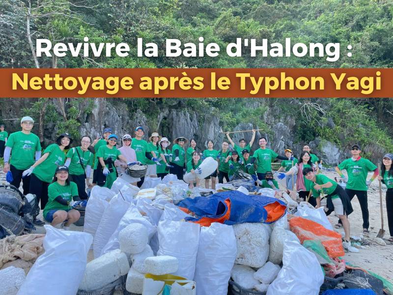 Revivre la Baie dHalong : Nettoyage après le Typhon Yagi 