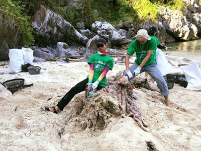 Revivre la Baie d'Halong : Nettoyage après le Typhon Yagi 