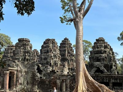 Dans le complexe d'Angkor