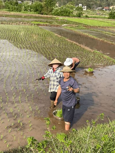Explorer les sentiers et rencontrer des agriculteurs cultivant du riz à Pu Luong.
